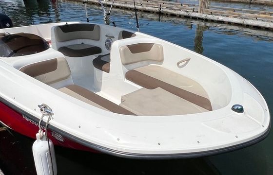 bayliner element m17