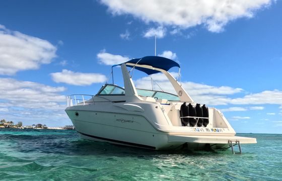 monterey cruiser 322