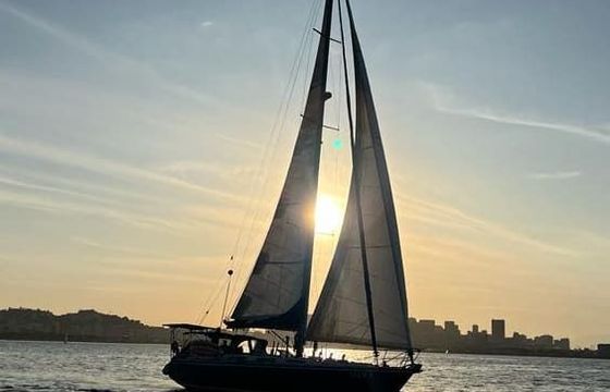 wauquiez centurion 49