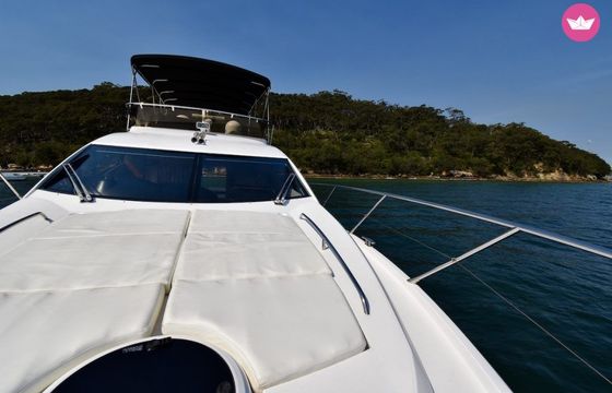 sunseeker 50 predator