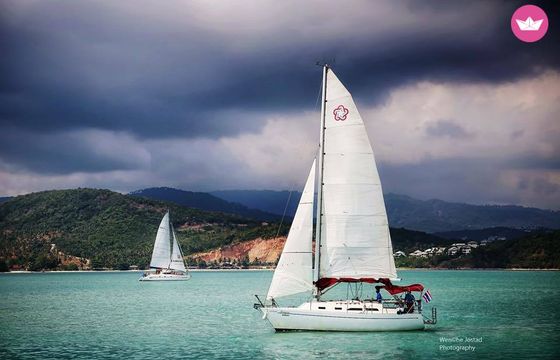 freedom 30