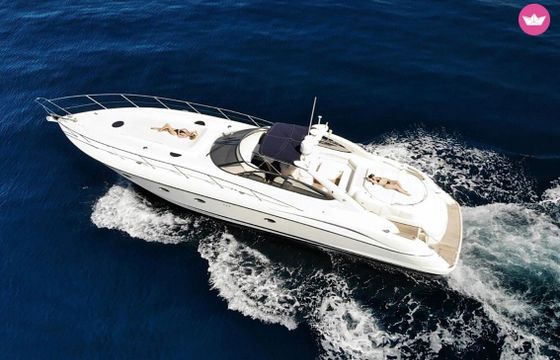sunseeker 58 predator