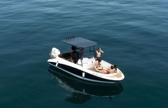 femis 620 sport