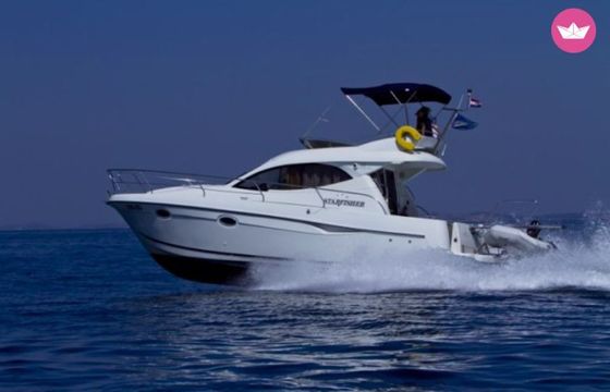 starfisher starfisher 34