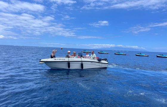 lgk marine p.q. nireus boat nireus 4.90 optima