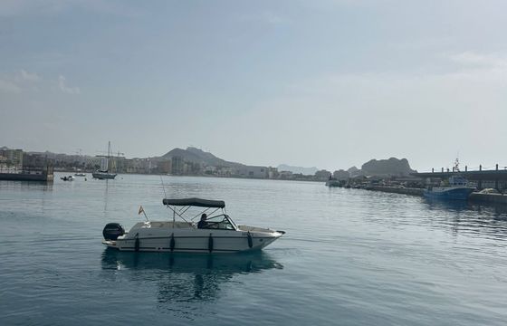 bayliner marine