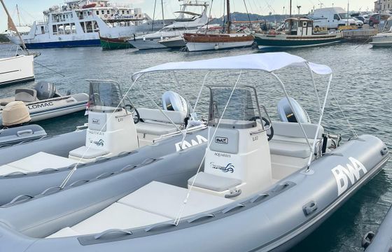 bwa 550