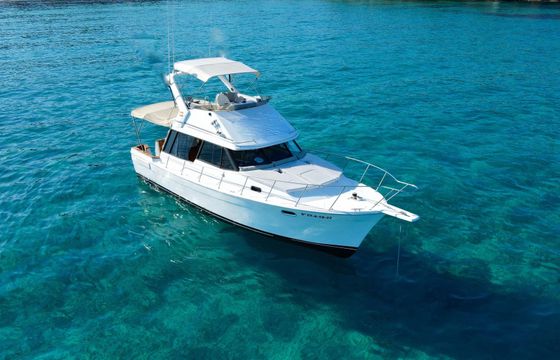 bayliner 3288 fly
