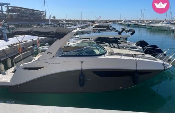 sea ray 265 sundancer