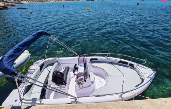 ranieri voyager 17