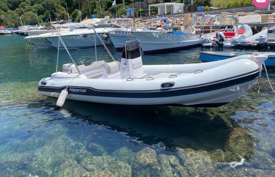 predator 6 mt (2)