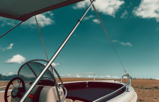 ranieri shark 17