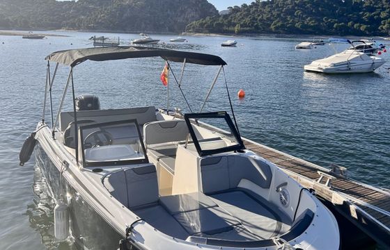 bayliner element m19