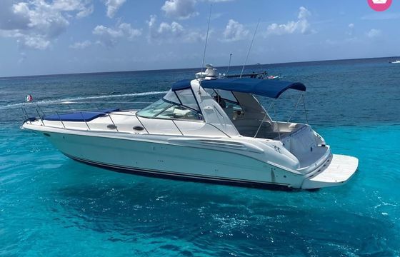 sea ray 41