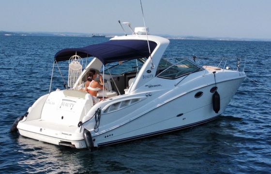 sea ray 290 sundancer