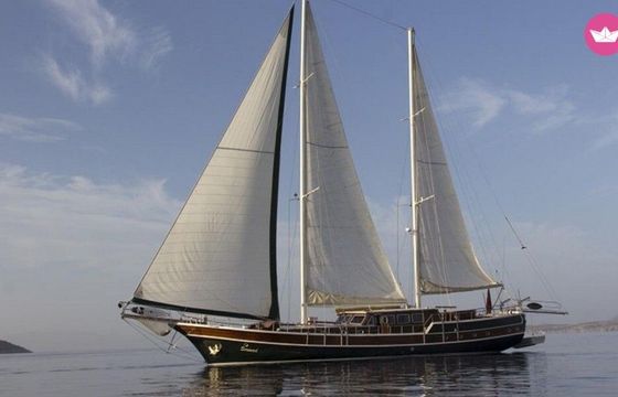 gulet charter turkey bodrum 2024