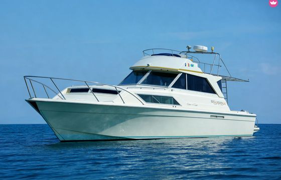 chris craft 11 fly