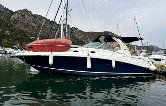 sea ray sundancer 375