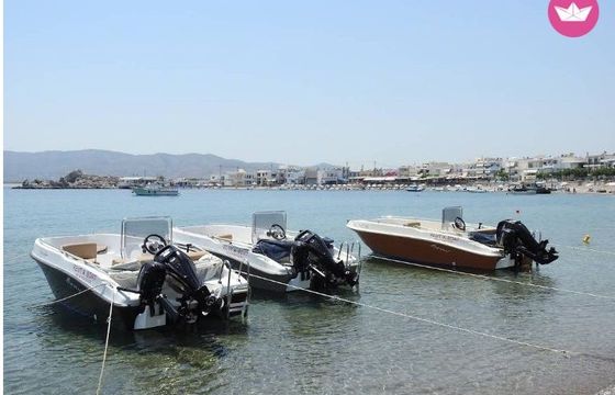 nireus 490 optima