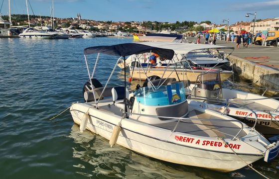 fisher 17