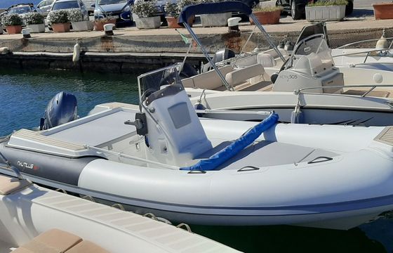 nautilus nautilus 19
