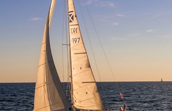 pelle peterson maxi 85