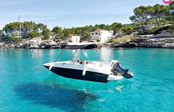 bayliner element e5