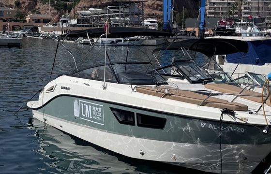 quiksilver activ 805 cruise