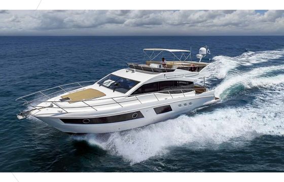 majesty 55
