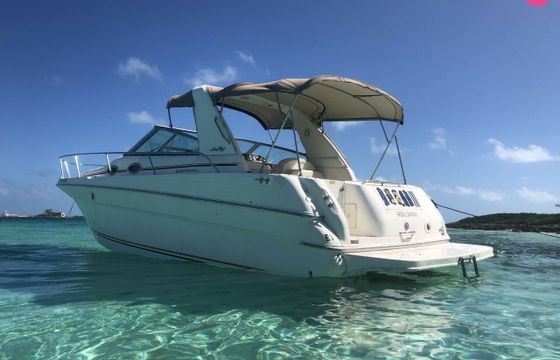 sea ray 290 sun sport
