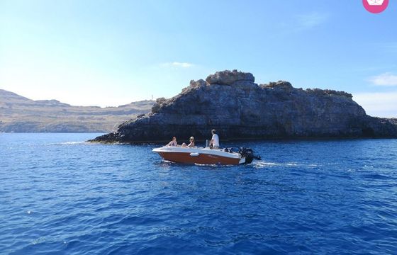 nireus 490 comfort optima