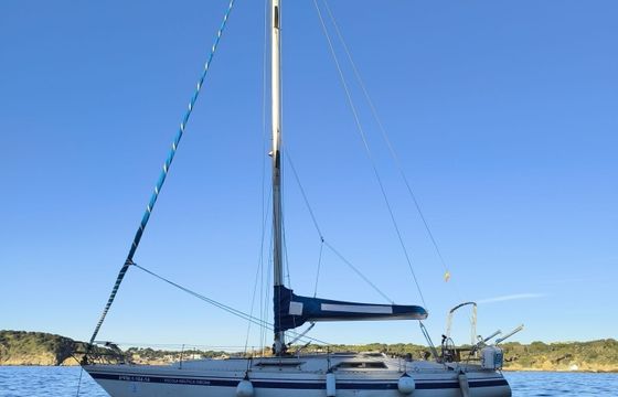 north wind 38