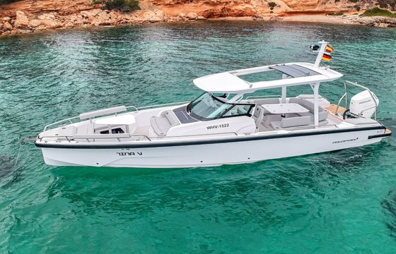 axopar 29 sun top