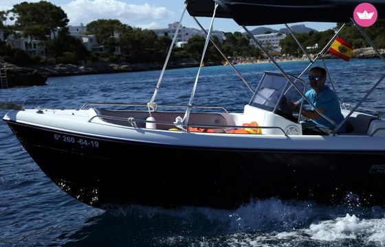 pegazus 460