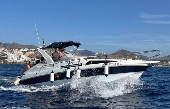 rio 850 cruiser