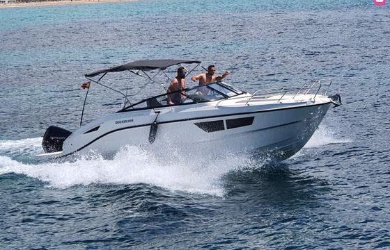 quicksilver activ 805 cruiser
