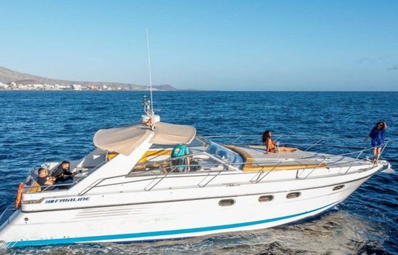 skyline cruiser motor yacht