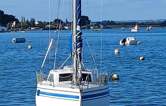 wrighton bi-loup 77
