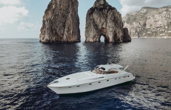 rizzardi topline 50