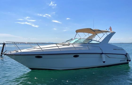 sea ray 310