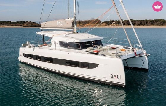 bali catsmart