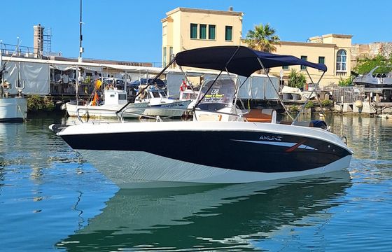 trimarchi amuni 6.0