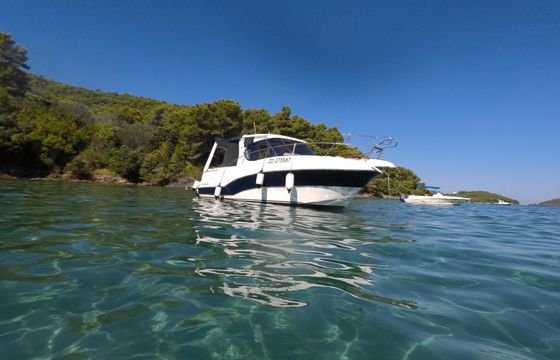 scarani group coral 30 scarani