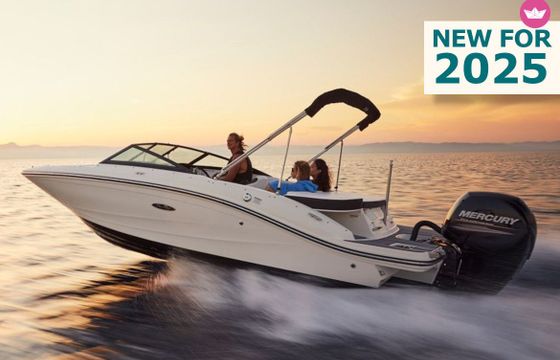 sea ray 190 spxr