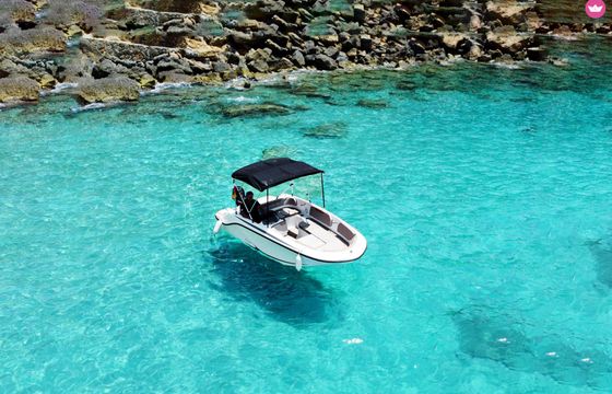 bayliner element m15