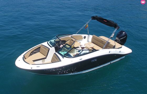 sea ray 210 spx