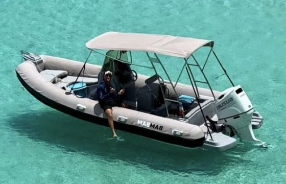 3d tender 655 lux