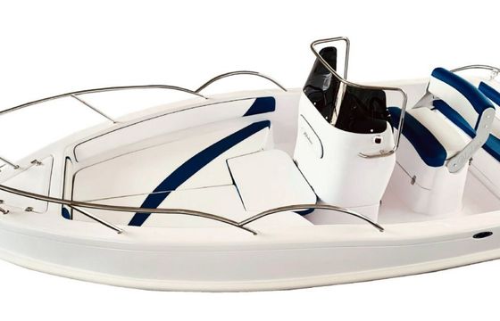 bluline ft 19