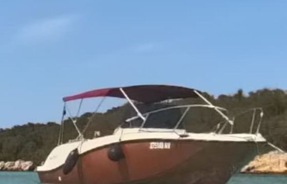 sport mare interquik 22