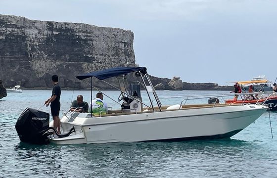 seabird seabird 24